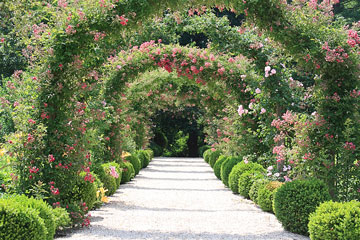 formal rose garden arches
